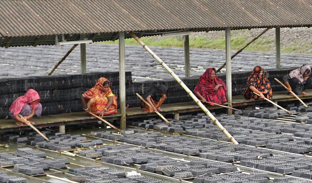 Women producers working in rural crab aquaculture operations